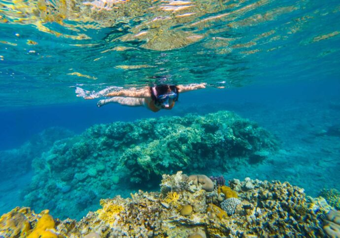 フランスのニースから日帰りで地中海の珊瑚礁の上をシュノーケリングする少女。